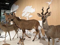 -陕西自然博物馆