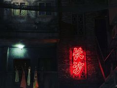 -黑色经典臭豆腐·湖南特产(潇湘文化店)