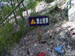 -藏龙百瀑风景区