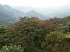 -广州市石门国家森林公园