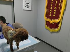 -半岛宠物医院24小时(科华中路店)