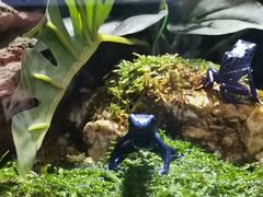 -暹罗海洋世界