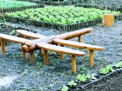 -前小桔亲子创意农场·草莓采摘·露营烧烤