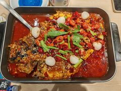 -鱼酷活鱼烤鱼(沈阳大悦城店)