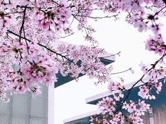 -龙美术馆(西岸馆)