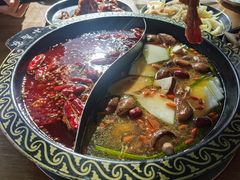 -小志家.鲜牦牛肉牛杂火锅野生菌汤锅