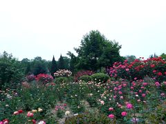 -宝鸡植物园