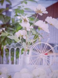 -Doris一站式游轮婚礼船东直营店(外滩店)