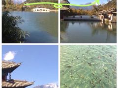 -黑龙潭公园
