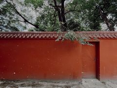 -金鸡山公园
