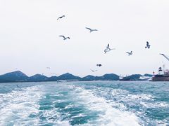 -海驴岛(荣成市)