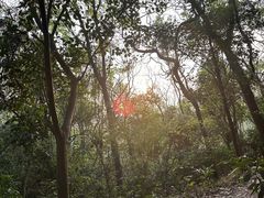 -广州市白云山风景名胜区