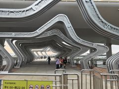 -演武大桥观景平台