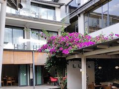 -大理老字号·舟渔的鱼野生菌海景餐厅(双廊店)