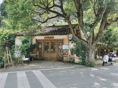 -村上春树