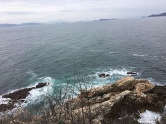 -杨梅坑