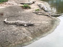 -广州长隆飞鸟乐园