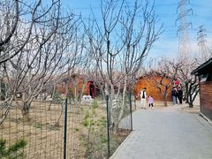 -香木香羊(小汤山店)