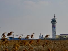 -吴淞炮台湾湿地森林公园烧烤区