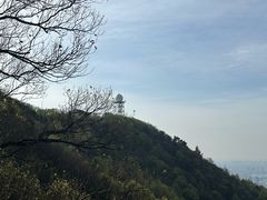 -惠山国家森林公园