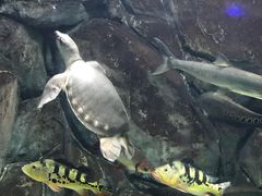 -常州海昌海洋探索馆