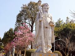 -仙岳公园
