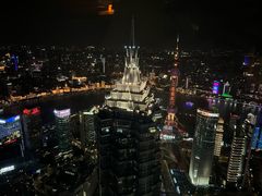 -The lounge 柏悦酒店大堂酒廊(上海环球金融中心店)