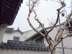 -朱家角课植园
