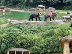 -杭州野生动物世界