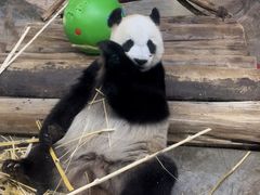 -海南热带野生动植物园