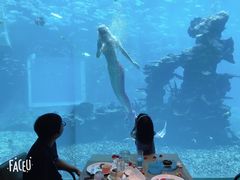 -海棠湾洲际-涛·海底餐厅·美人鱼·自助餐·海底隧道