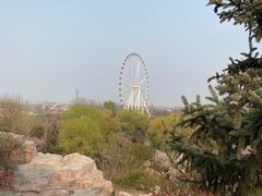 -石家庄市植物园