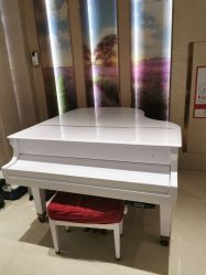 -厦门美莱整形美容医院