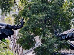 -大妙火锅·非物质文化遗产(东湖公园店)