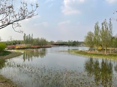 -张家湾公园