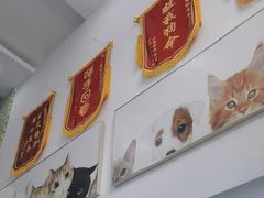 -爱侣宠医·鹦鹉专科·小型哺乳类·异宠专科(灵石路店)