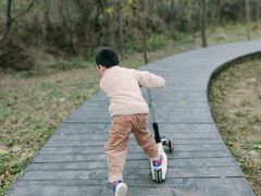 -盘龙城国家考古遗址公园