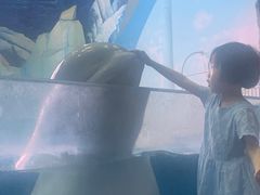 -福州罗源湾海洋世界旅游区