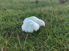 -光明小镇欢乐田园