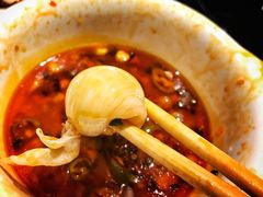 鱼肚-三只耳火锅(宽窄巷子店)