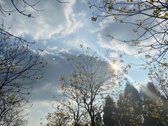 -露天矿生态公园