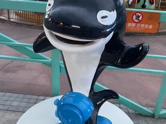-海合安成都极地海洋公园