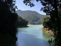 -广州市流溪河国家森林公园