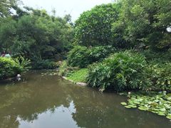 -晓港公园