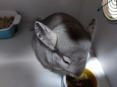 -龙猫仔乐园(惠福东路店)