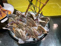 -半岛翡丽海鲜自助餐厅(观风亭店)