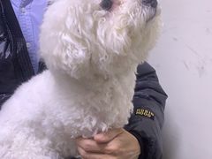 -美联众合动物医院·24h转诊中心