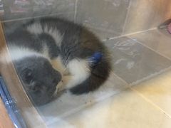-1013 PET SHOP 宠物商店(近铁城市广场店)