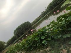 -东郊湿地公园