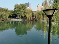 -大宁公园